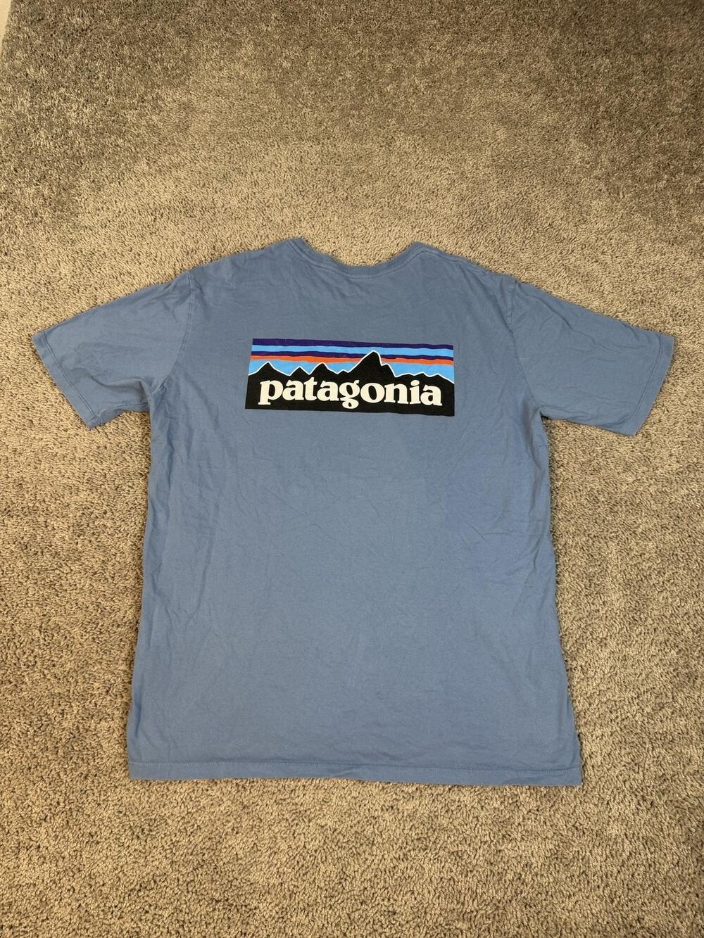 Patagonia Shirt Mens L Blue Back Logo Graphic Cotton Tagless Crew Neck